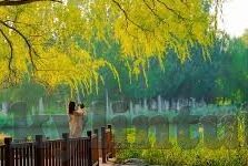 麻豆传媒md系列-揭秘——麻豆传媒MD系列，细节背后