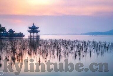 麻豆免费视频app-如何看麻豆免费视频app，一种文化消费现象的解读