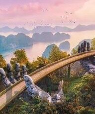 糖心app免费下-免费用心，揭秘糖心app的下载与体验