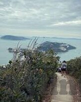 糖心app苹果版免费下载-探索糖心APP，苹果用户的专属视听盛宴