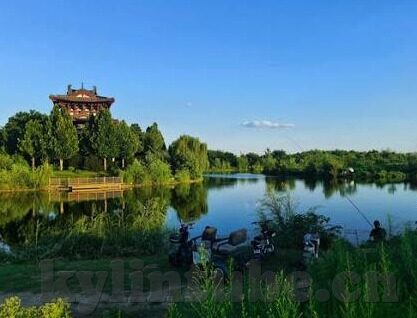 糖心官网首页-糖心官网首页，美食之旅的起点